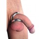 DOUBLE GLANS RING. METAL HARD