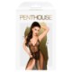 PENTHOUSE BEST FOREPLAY