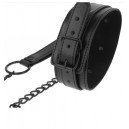 INTENSE FETISH COLLAR Y CORREA