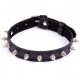 FETISH ADDICT COLLAR CON PINCHOS AJUSTABLE 43 CM 